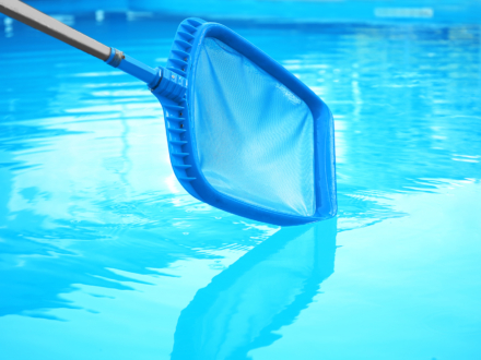 Cleaning outdoor pool with scoop net, closeup